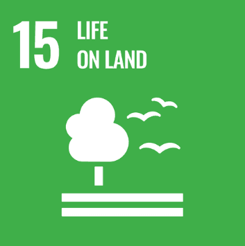 Our projects drive substantial, verified change, addressing a wide range of climate, social, and economic challenges. By implementing innovative solutions and sustainable practices, we contribute to achieving at least 5 of the UN Sustainable Development Goals, making a positive impact on communities and the planet.