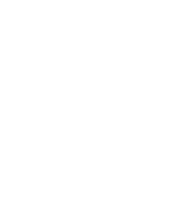 Drive both local and national economies growth