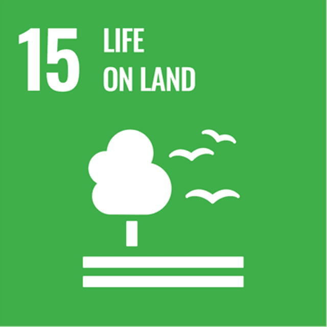 Our projects drive substantial, verified change, addressing a wide range of climate, social, and economic challenges. By implementing innovative solutions and sustainable practices, we contribute to achieving at least 5 of the UN Sustainable Development Goals, making a positive impact on communities and the planet.